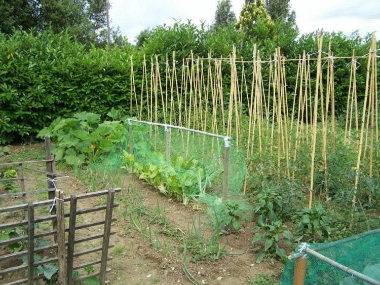 Ortali Country House Quarata Екстериор снимка